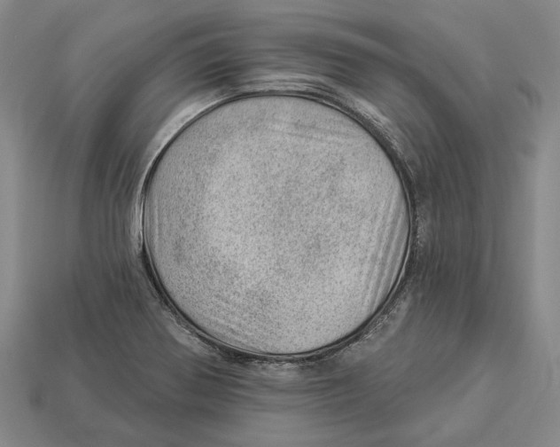 X0000112981370200909241211