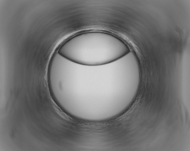 X0000112981372200909241211