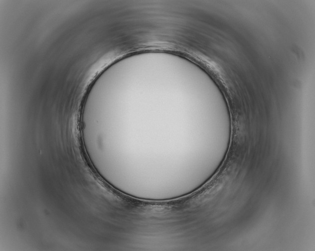 X0000112981373200909241211