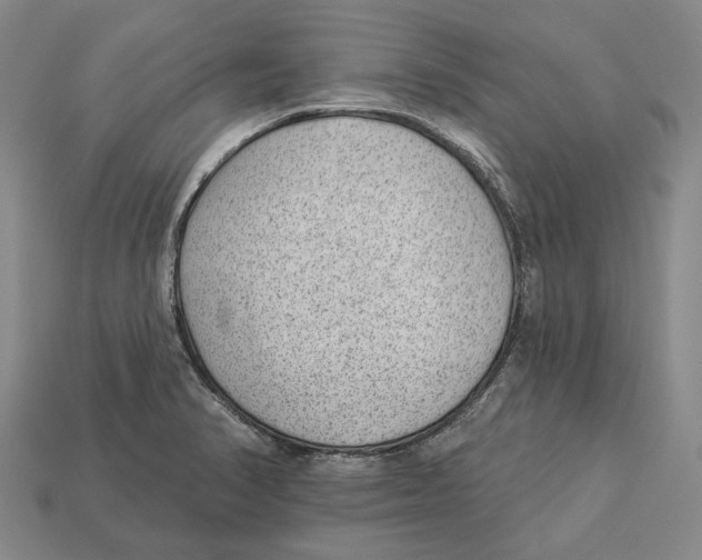 X0000112981374200909241211