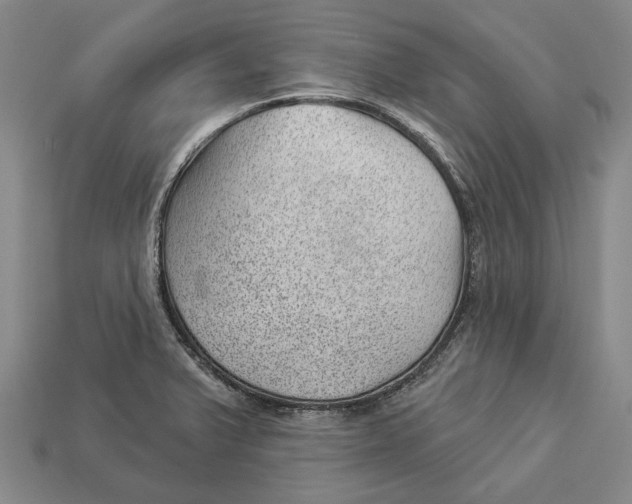 X0000112981375200909241211