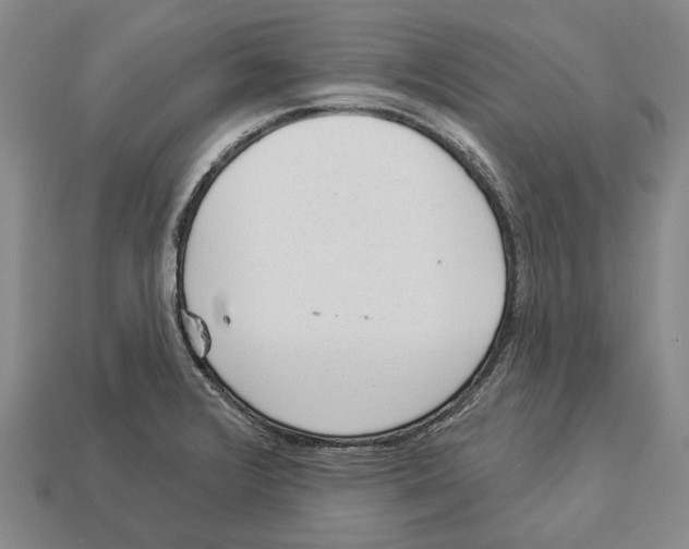 X0000112981376200909241211