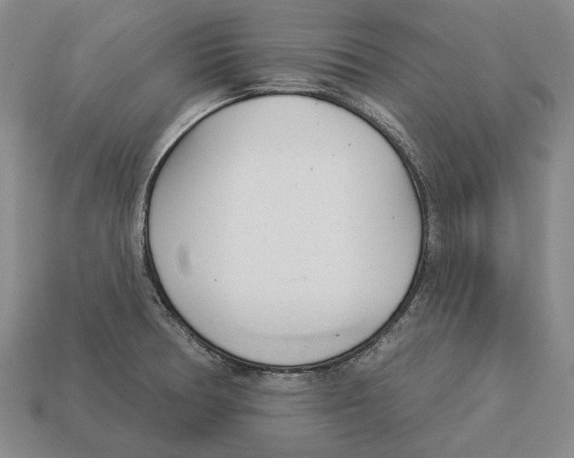 X0000112981378200909241211