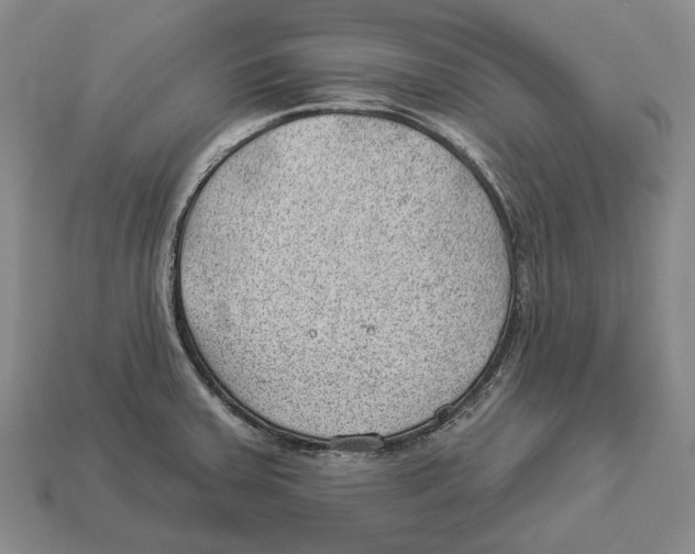 X0000112981379200909241211