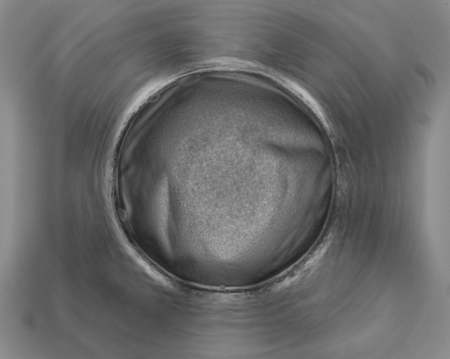 X0000112981381200909241211