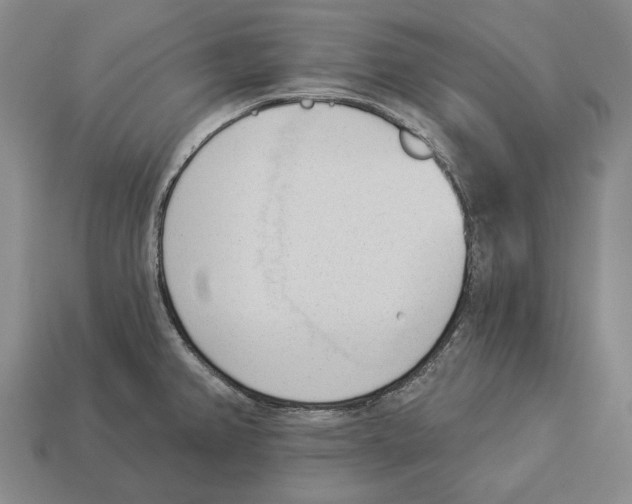 X0000112981382200909241211