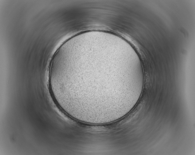 X0000112981383200909241211