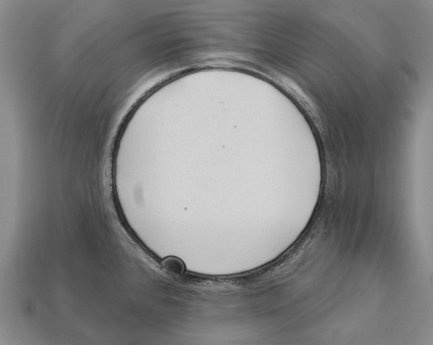 X0000112981384200909241211