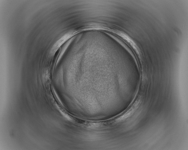 X0000112981385200909241211
