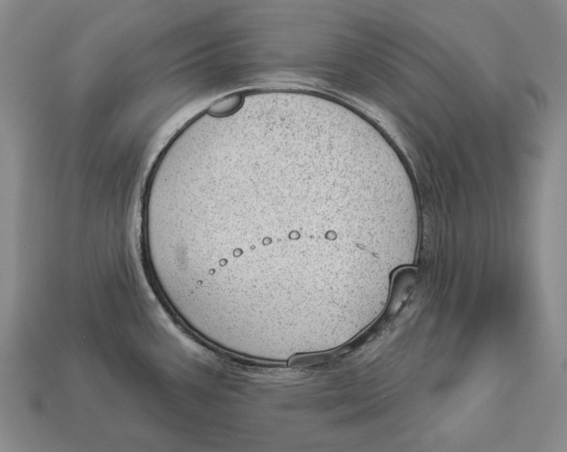 X0000112981387200909241211