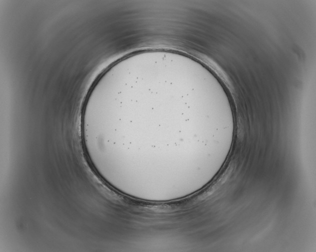 X0000112981388200909241211
