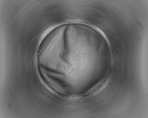 X0000112981389200909241211