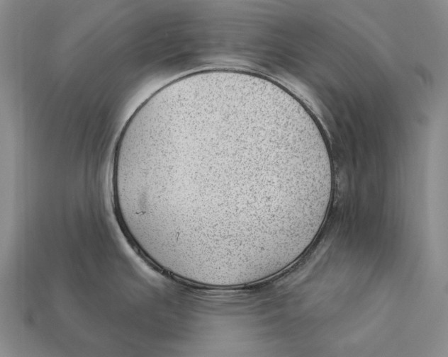 X0000112981391200909241211