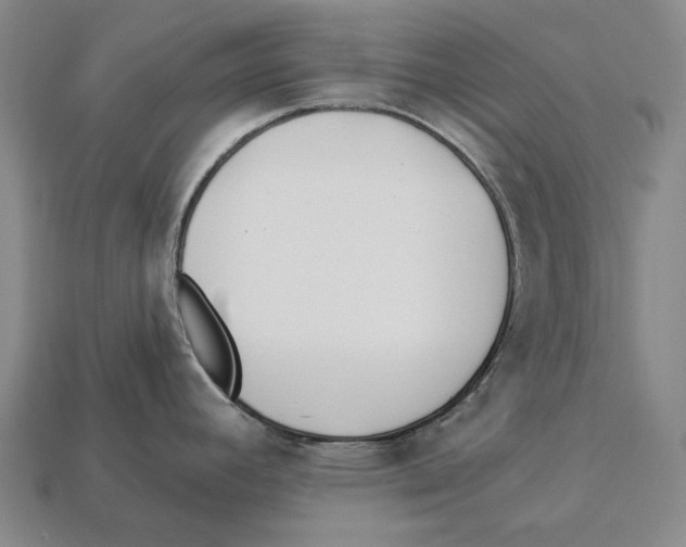 X0000112981392200909241211