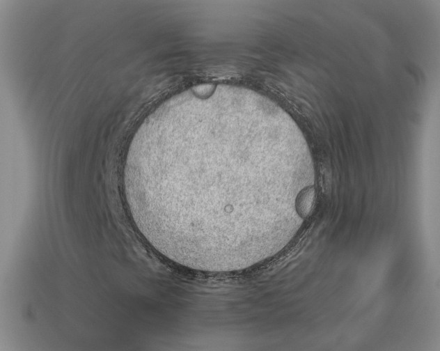 X0000112981393200909241211