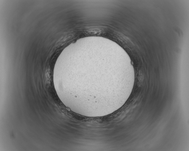 X0000112981394200909241211