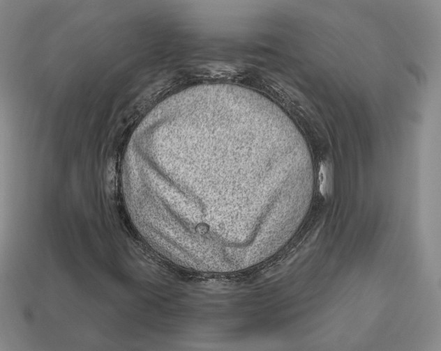 X0000112981395200909241211