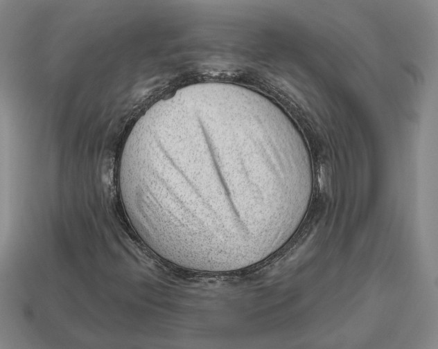 X0000112981396200909241211
