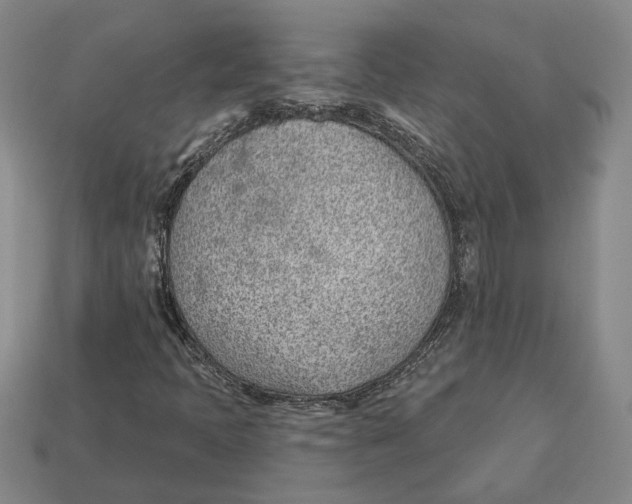 X0000112981397200909241211