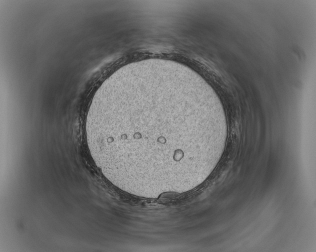 X0000112981398200909241211