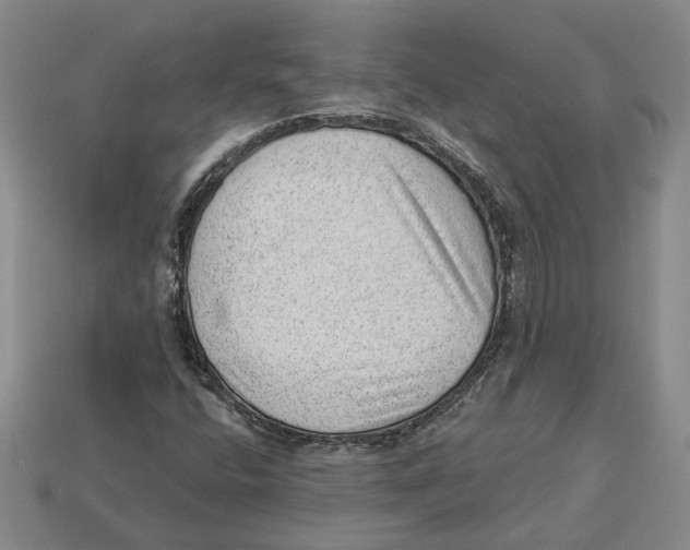 X0000112981400200909241211