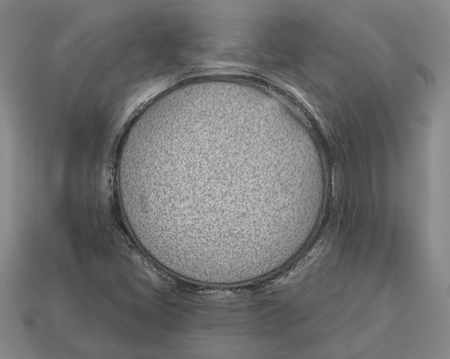 X0000112981405200909241211