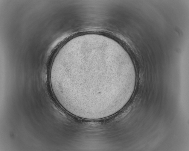 X0000112981406200909241211