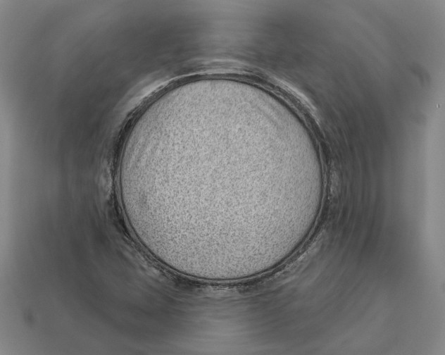 X0000112981407200909241211