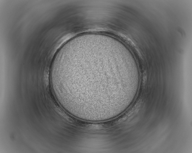 X0000112981409200909241211