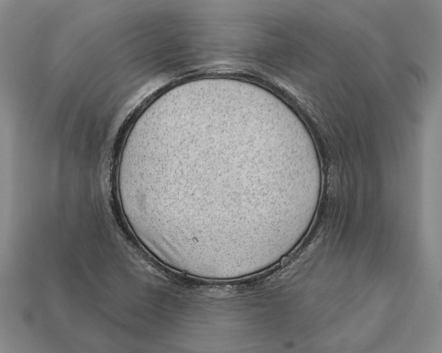 X0000112981410200909241211