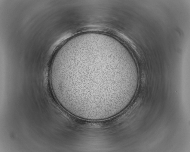 X0000112981411200909241211