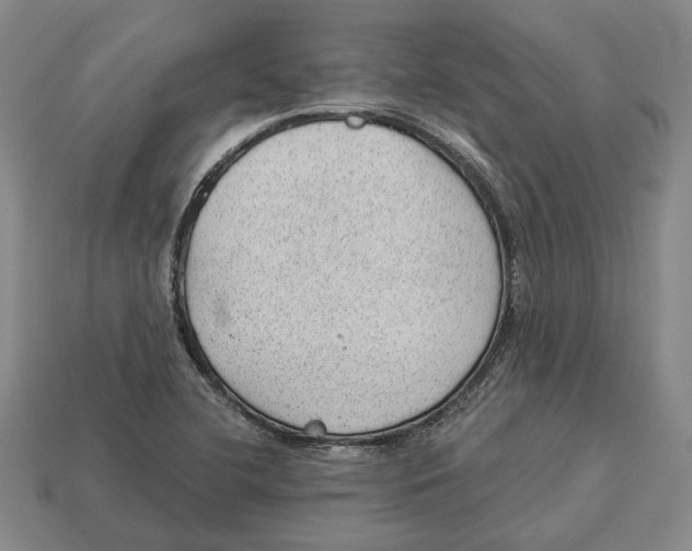 X0000112981412200909241211