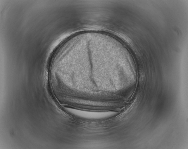 X0000112981414200909241211