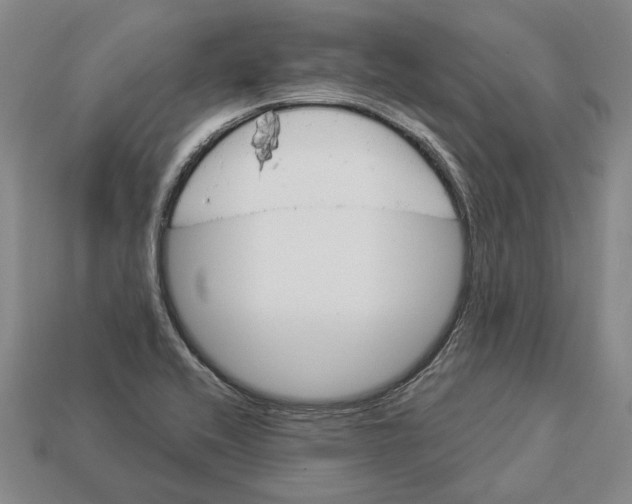 X0000112981416200909241211