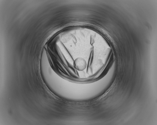 X0000112981417200909241211