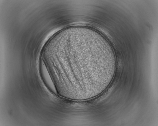 X0000112981418200909241211
