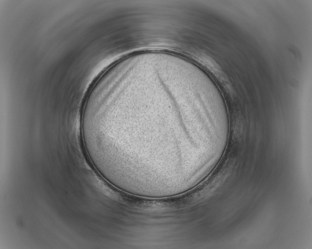 X0000112981420200909241211