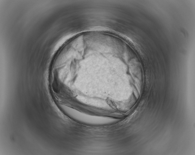 X0000112981422200909241211