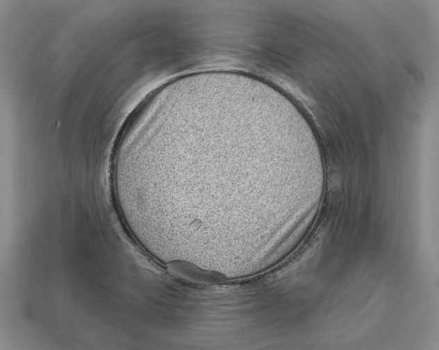 X0000112981423200909241211