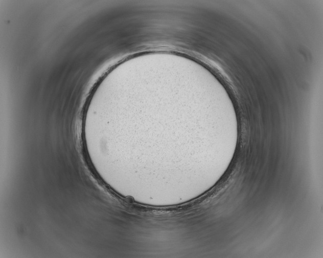 X0000112981424200909241211