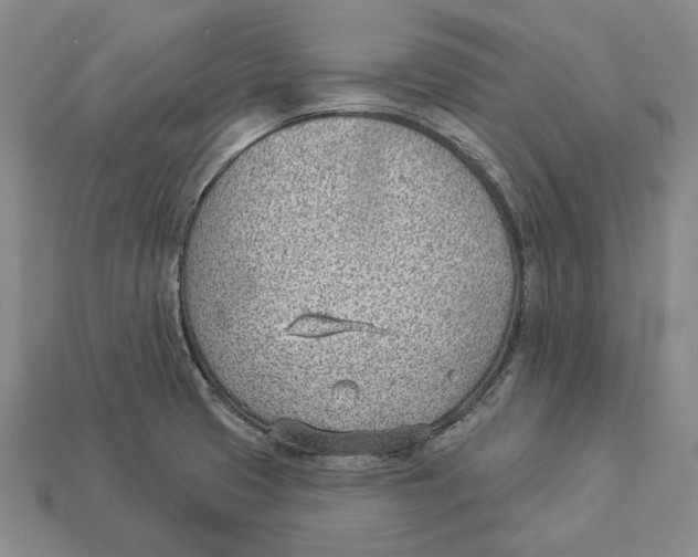X0000112981425200909241211