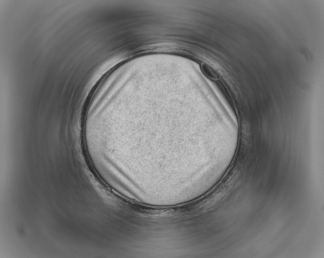 X0000112981426200909241211