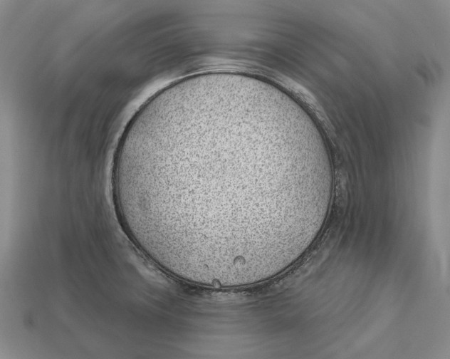 X0000112981427200909241211