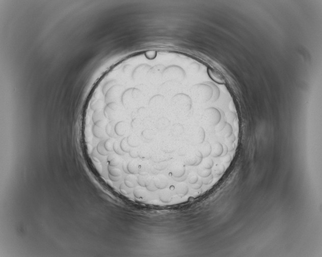 X0000112981432200909241211