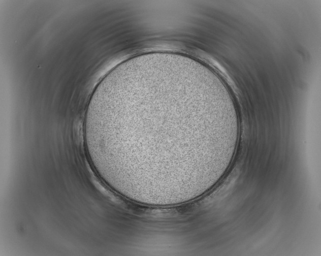 X0000112981433200909241211