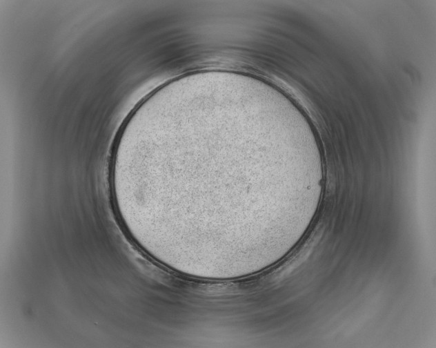 X0000112981434200909241211