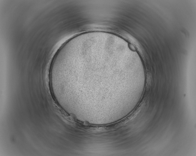 X0000112981435200909241211