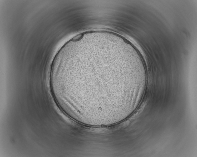X0000112981437200909241211