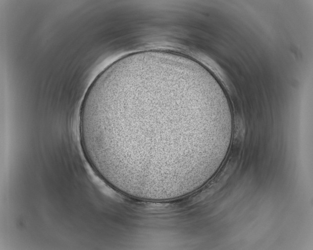X0000112981439200909241211