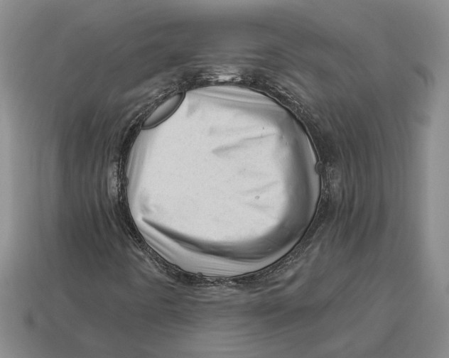 X0000112981442200909241211